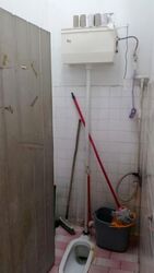 Ang Mo Kio Avenue 10 (D20), Shop House #558239411